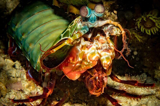 2 Fun Divers for Certified Divers in Thailand - Key Points