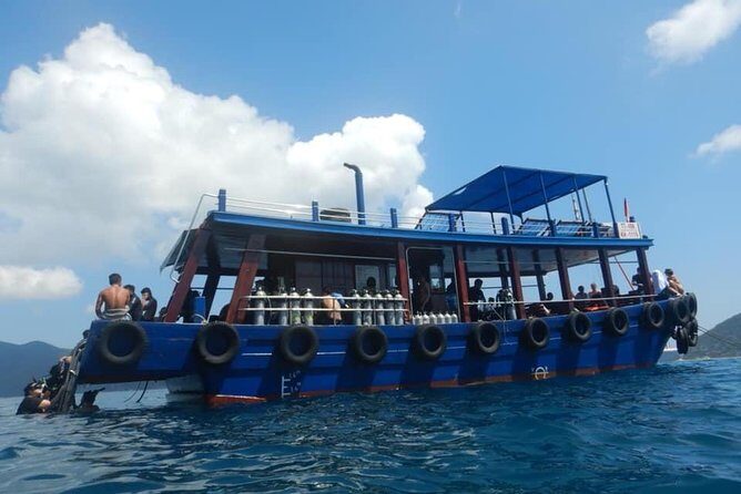 2 Fun Dives for certified Divers - Why This Tour Offers Great Value