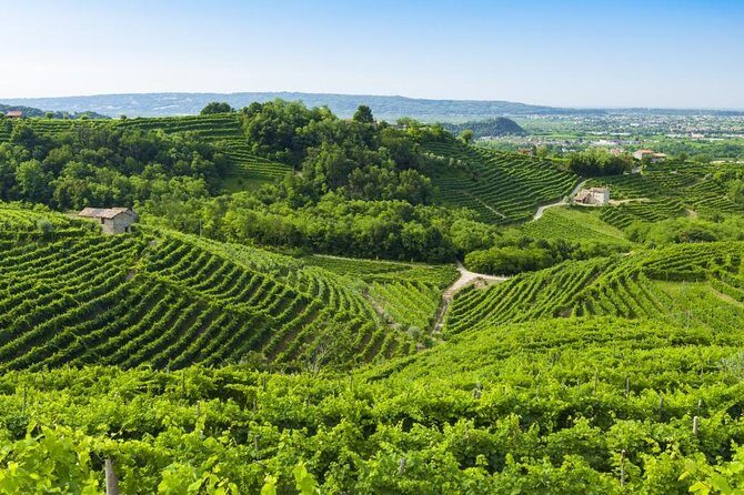 2 Guests Private Prosecco Road Tour All Inclusive from Conegliano - Exploring the Prosecco Road with a Private Guide