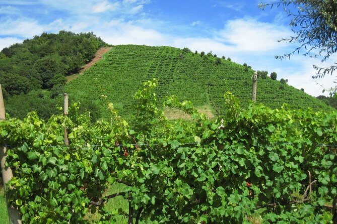 2 Guests Private Prosecco Road Tour All Inclusive from Conegliano - Frequently Asked Questions