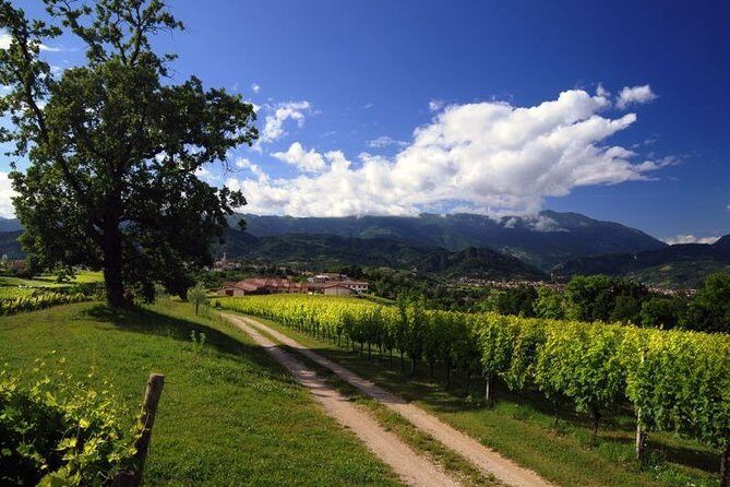 2 Guests Private Prosecco Road Tour All Inclusive from Conegliano - Final Thoughts