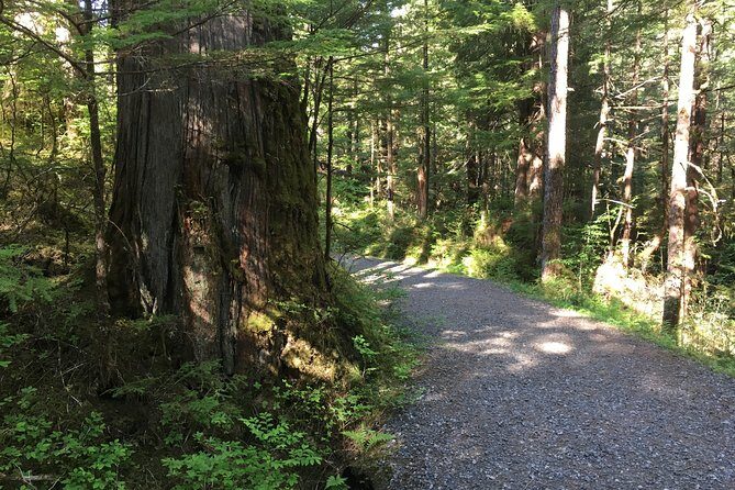 2 Hour Alaska Rainforest Walk and Totem Park Small Group Tour - FAQs