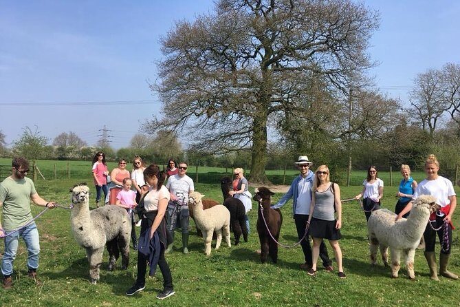 2-Hour Alpaca Farm Experience in Kenilworth - Frequently Asked Questions