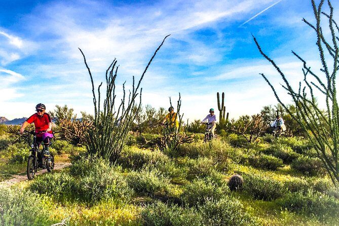 2-Hour Arizona Desert Guided E-Bike Tour - The Ride and Its Highlights