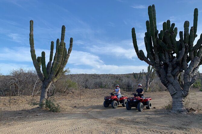 2-Hour ATV Riding Experience in San Jose del Cabo - In-Depth Look at the Itinerary and the Experience