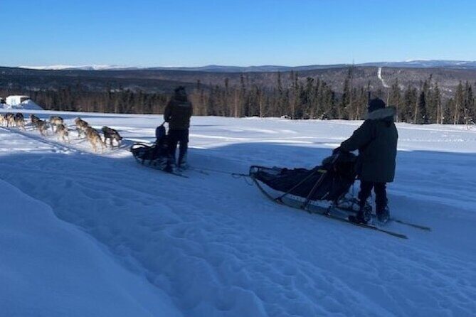 2-Hour Basic Dog Mushing School (with Transportation) - Who Should Consider This Tour?