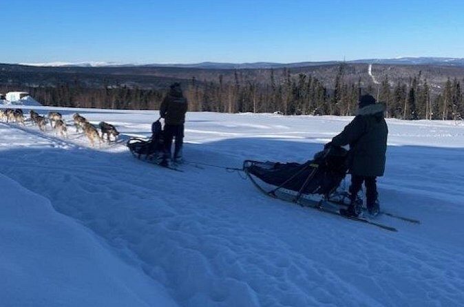 2-Hour Basic Dog Mushing School (with Transportation) - Summary