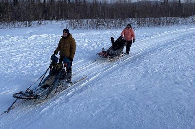 2-Hour Basic Dog Mushing School (with Transportation) - FAQ