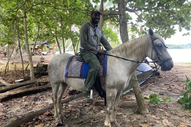 2 Hour Beach Horse Back Riding in Puerto Viejo - A Detailed Look at the Experience