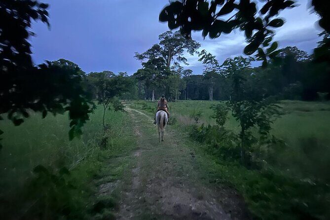 2 Hour Beach Horse Back Riding in Puerto Viejo - FAQs