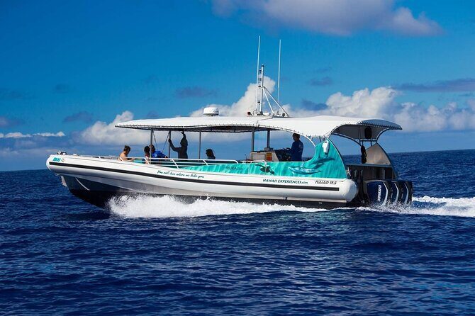 2 Hour Big Island Dolphin Watching and Sea Turtle Snorkel Tour - Experience Big Island’s Marine Wonders on a 2-Hour Dolphin Watching & Snorkel Tour