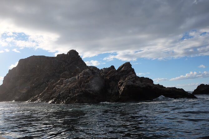 2 Hour Boat Tour in Twillingate - The Drawbacks and Considerations