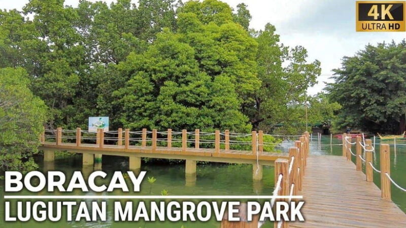 2-Hour Boracay Land Tour via Etrike - Who Should Consider This Tour?