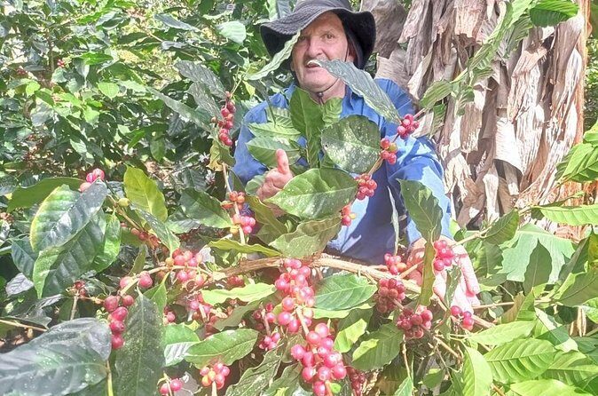 2-Hour Cabanisi Coffee Farm Activity - FAQ