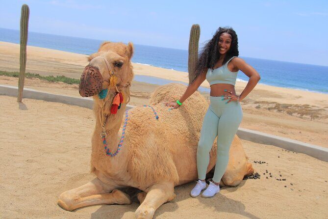 2-Hour Camel Ride Beach and Desert Adventure Experience - A Closer Look at the 2-Hour Camel Ride Beach and Desert Adventure