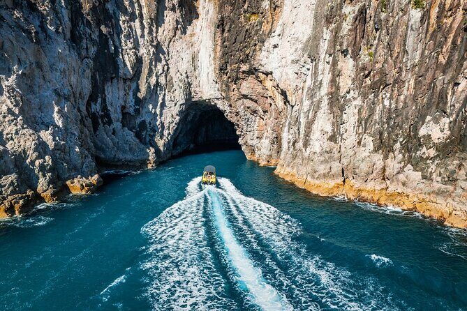 2 Hour Cathedral Cove and Volcanic Coast Cruise with Shade Canopy - What to Expect on the Tour