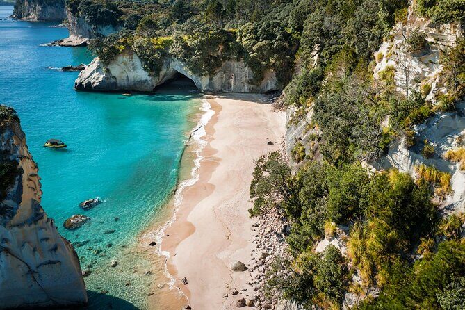 2 Hour Cathedral Cove and Volcanic Coast Cruise with Shade Canopy - Who is This Tour Best For?