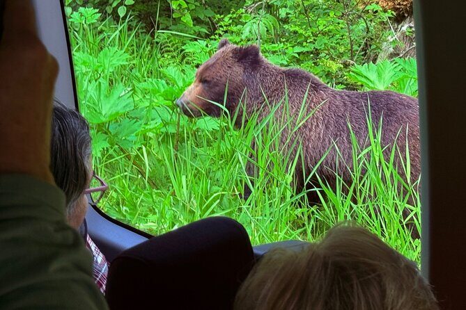 2 Hour Chichagof Island Guided Driving Tour - Key Points