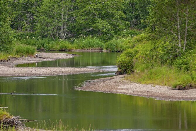 2 Hour Chichagof Island Guided Driving Tour - The Experience from a Traveler’s Perspective