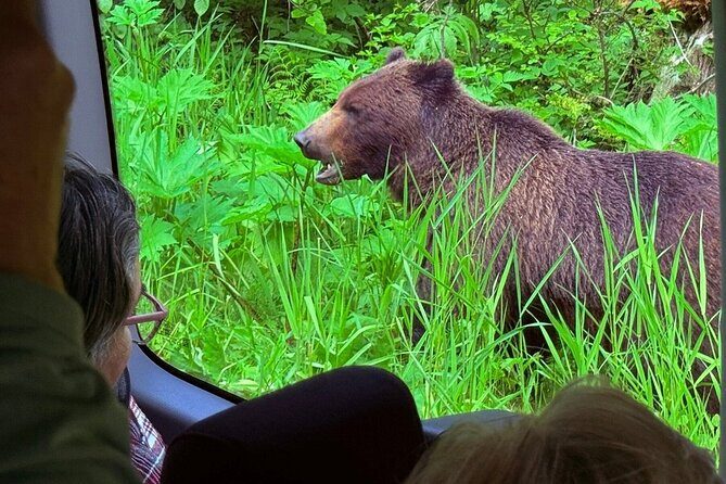 2 Hour Chichagof Island Guided Driving Tour - Practical Tips for Your Trip