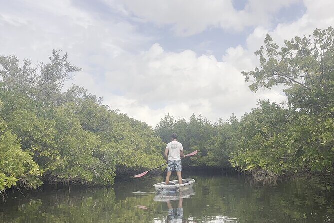 2-Hour Clear Kayak Mangrove Eco Tours, St Pete - Who Should Try This Tour?