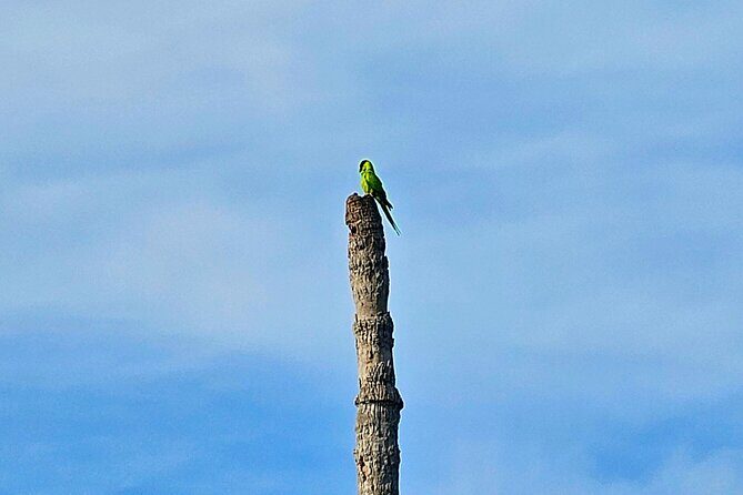 2-Hour Clear Kayak Rentals in St Pete, FL - Clam Bayou - Value and Practical Tips for Your Kayaking Day