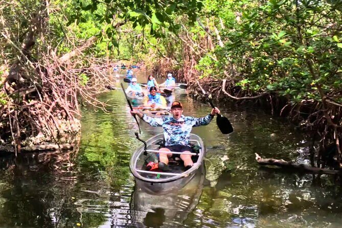2 Hour Clear Kayak Tour at Emerson Point Preserve - The Experience in Detail