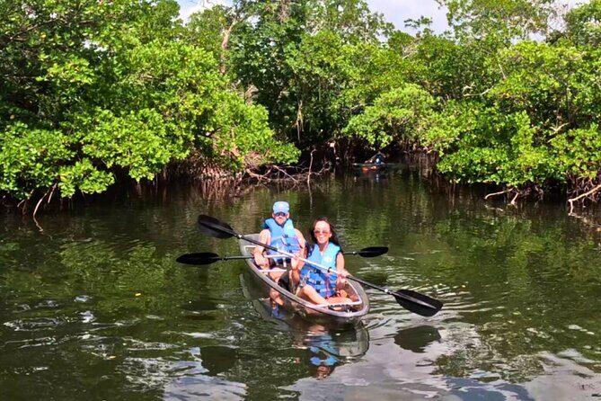 2 Hour Clear Kayak Tour at Emerson Point Preserve - Final Thoughts: Why This Tour Delivers Value