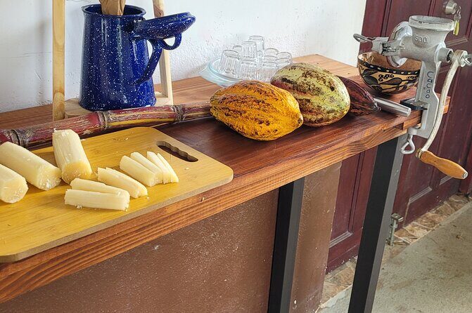 2 Hour Coffee & Chocolate Tour in Playas del Coco - Final Words