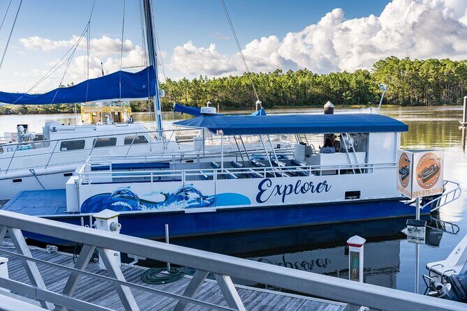 2-Hour Dolphin and Nature Eco Tour from Orange Beach - A Closer Look at the 2-Hour Dolphin and Nature Eco Tour
