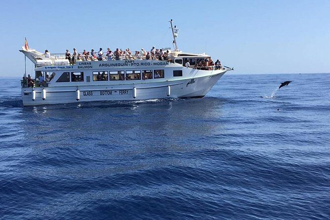 2-Hour Dolphin and Whale Watching in Gran Canaria - Key Points