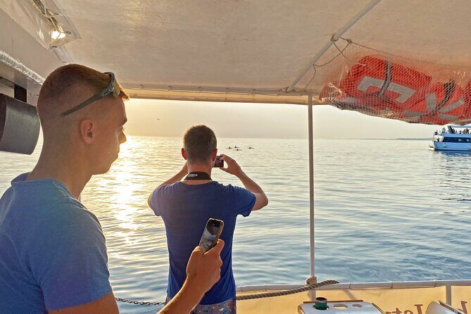 2-Hour Dolphin Guided Safari NP Brijuni from Fazana - The Experience in Detail