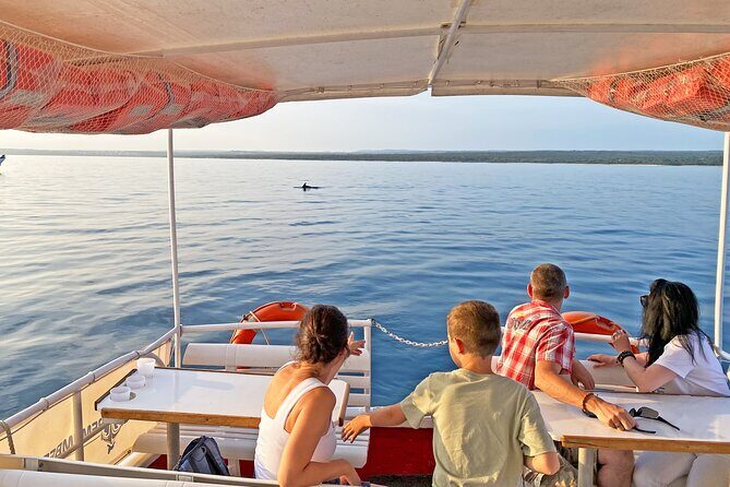 2-Hour Dolphin Guided Safari NP Brijuni from Fazana - Who Will Enjoy This Tour?