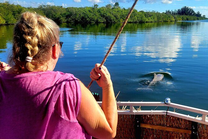 2 hour Dolphin Sightseeing Tour in Melbourne Florida - The 2 Hour Dolphin Sightseeing Tour in Melbourne, Florida: A Deep Dive
