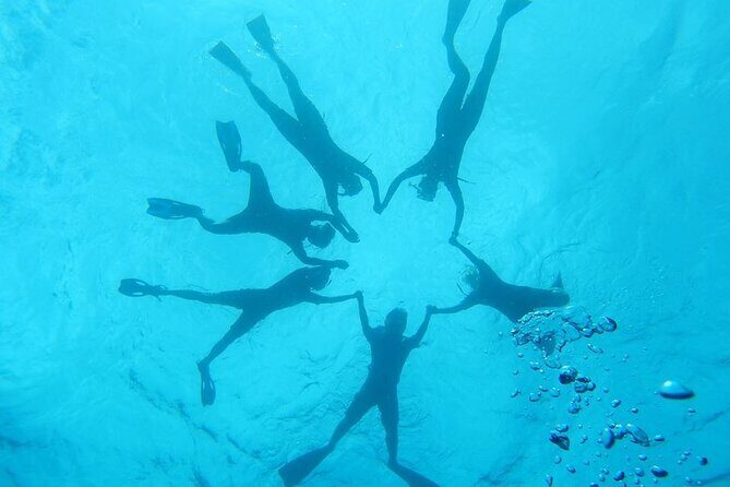 2-Hour Dolphin Watching and Double Reef with Snorkel in Hawaii - Frequently Asked Questions