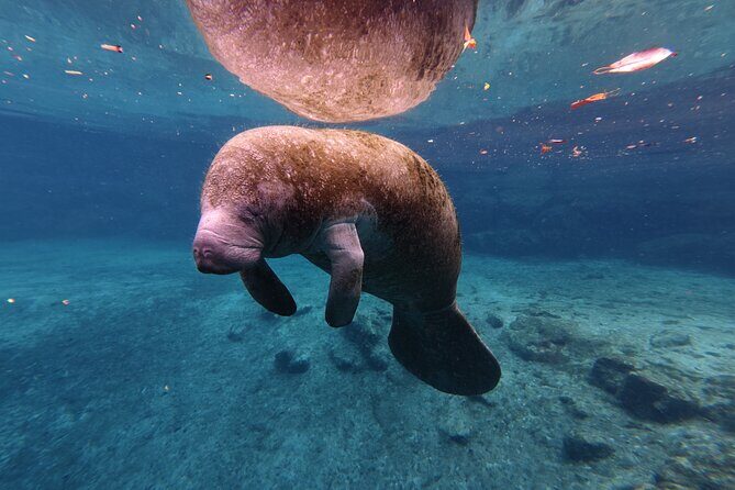 2 Hour Double Kayak Rental - Key Points