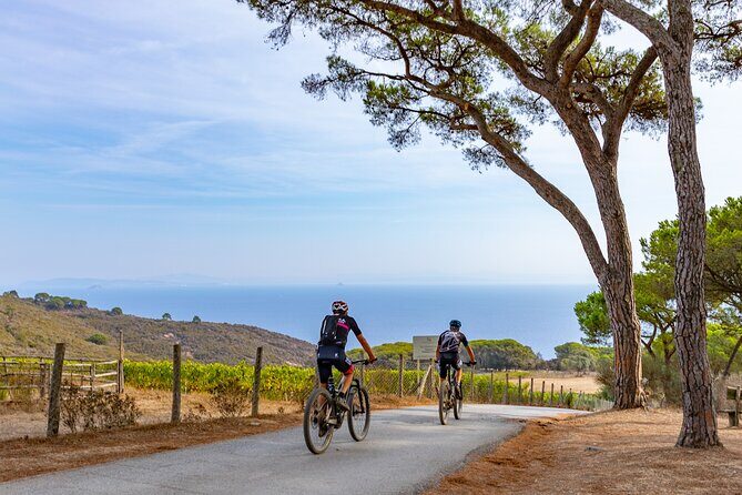 2-Hour e-bike Tour with Wine Tasting in Tenuta delle Ripalte - Key Points