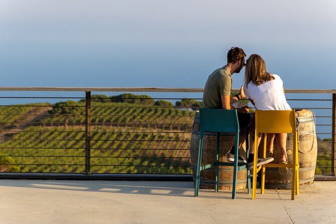 2-Hour e-bike Tour with Wine Tasting in Tenuta delle Ripalte - Practical Tips for Enjoying the Tour