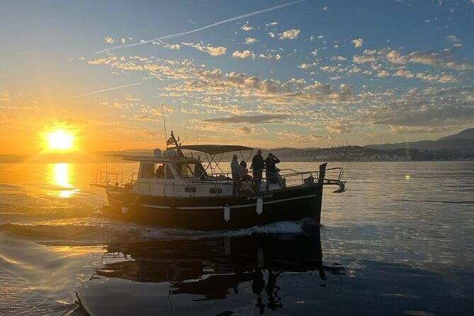 2-hour excursion in search of dolphins/drinks and snacks - Key Points