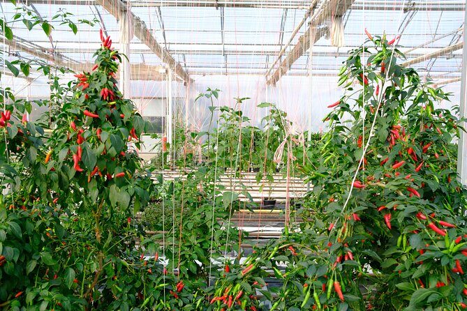 2-Hour Farm Experience in Gateway Yarra Valley - Value and Practical Considerations