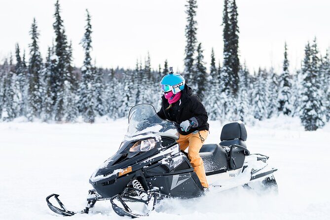 2-Hour Guided Snowmobile Tour in Fairbanks - The Sum Up