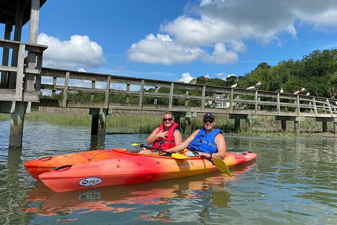 2-Hour Hilton Head Guided Kayak Nature Tour - Discover Hilton Head’s Natural Beauty with a Guided Kayak Tour
