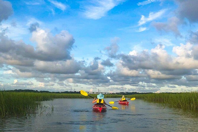 2-Hour Hilton Head Guided Kayak Nature Tour - Key Points
