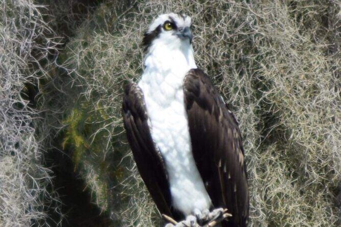 2 Hour Historical Wildlife Tour of the Chain of Lakes - Frequently Asked Questions