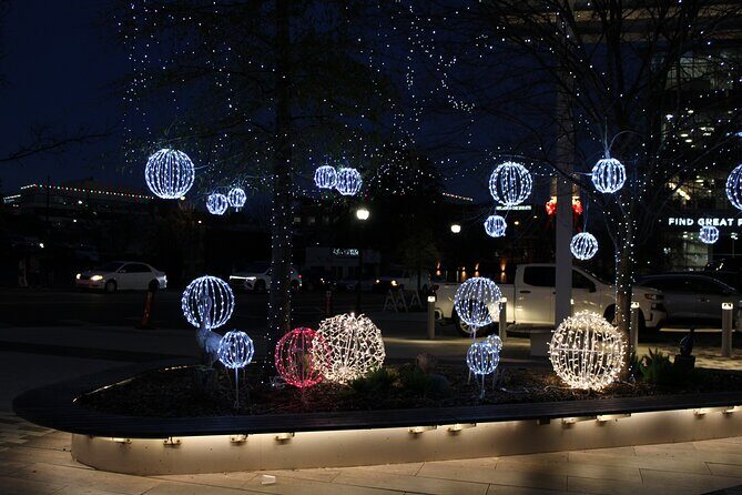 2 Hour Holiday Lights and Cheer Driving Tour - Who Will Love This Tour?