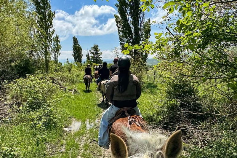 2-hour horse riding tour at Palomino Ranch Near Tbilisi - Final Thoughts