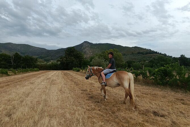 2 hour horseback ride for experts in Valgraziosa (Pisa) - Key Points