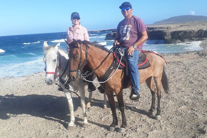 2-Hour Horseback Riding Tour to Little Natural Bridge in Aruba - Who Will Love This Tour?