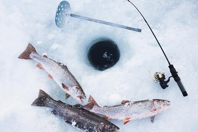2-Hour Ice Fishing Experience in Rovaniemi, Finland - Final Thoughts