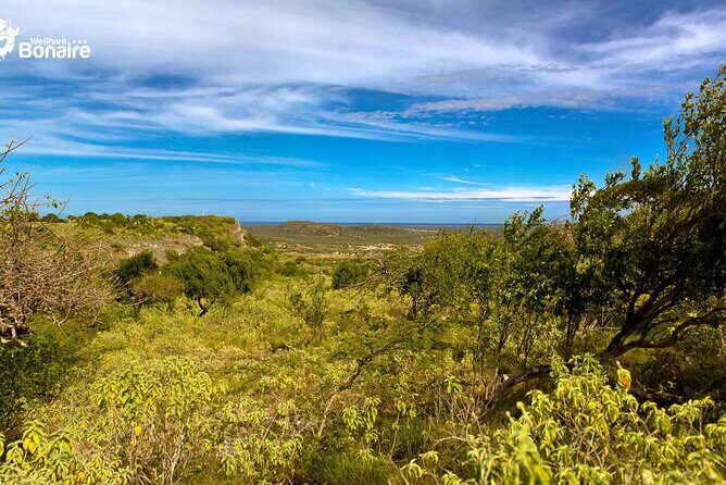 2 hour Individual Guided South Island Tour for Singles/Couples - Exploring Bonaire in a Personal 2-Hour Tour